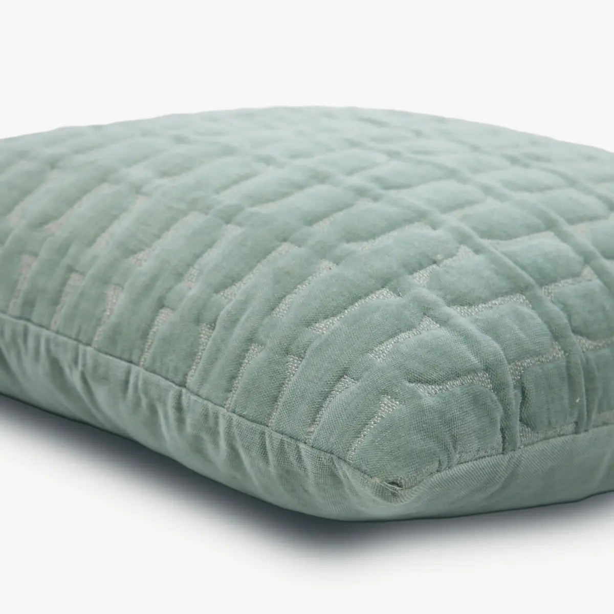 Twig Duck Egg Embroidered Velvet Cushion Cover SanctuaryLiving