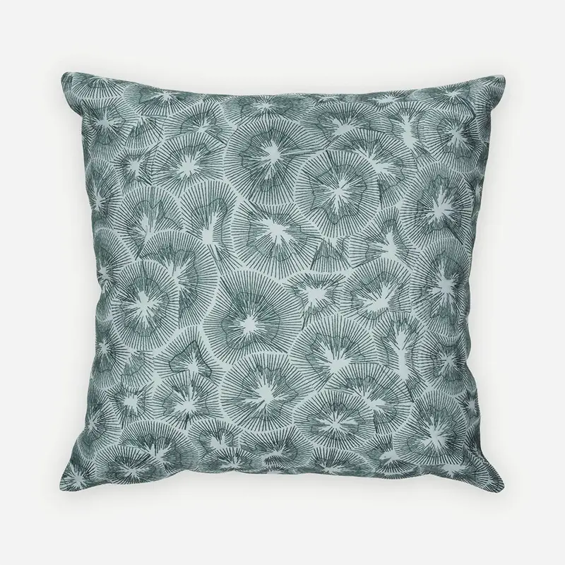 Kiwi Baby Blue Cotton Cushion Cover SanctuaryLiving