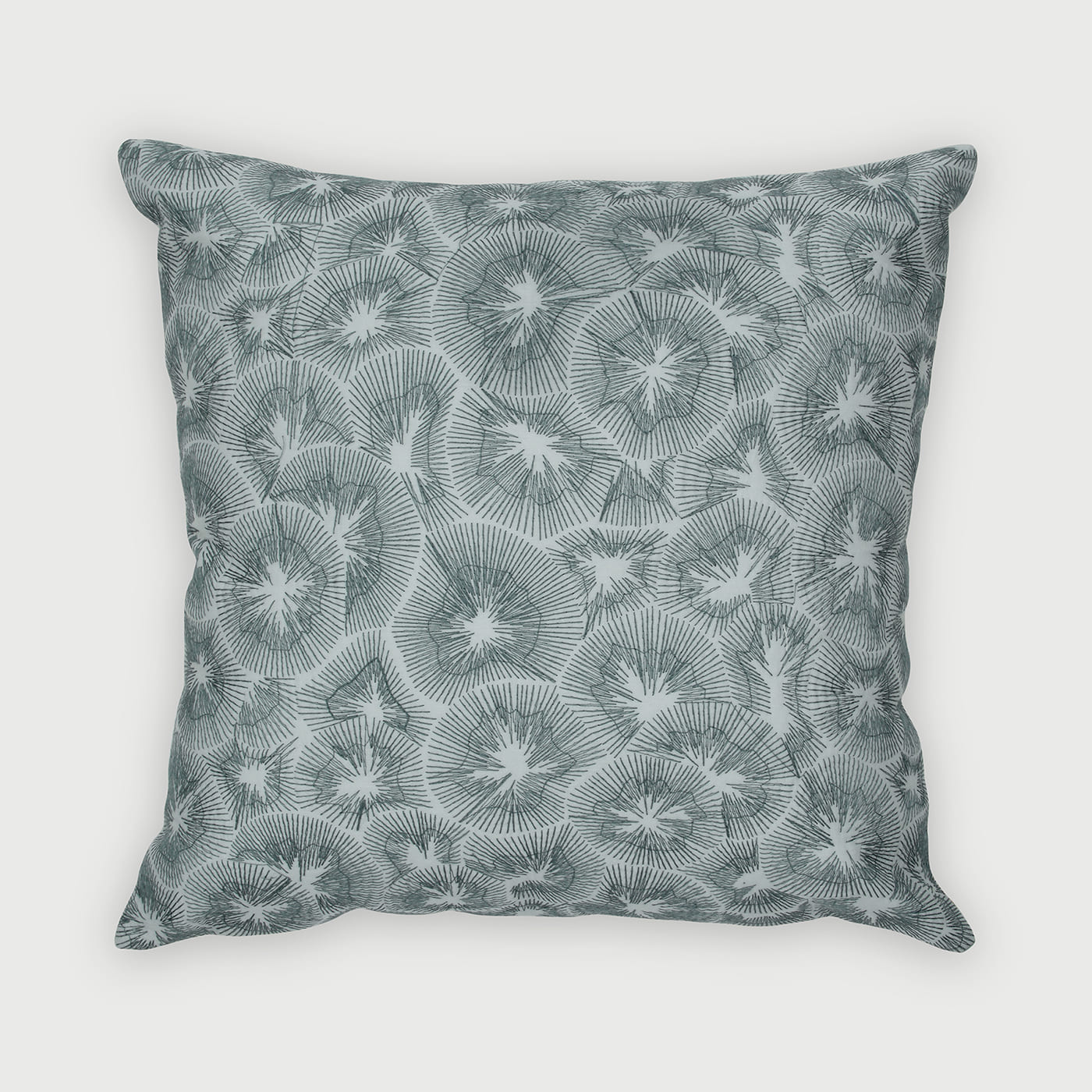 Kiwi Baby Blue Cotton Cushion Cover