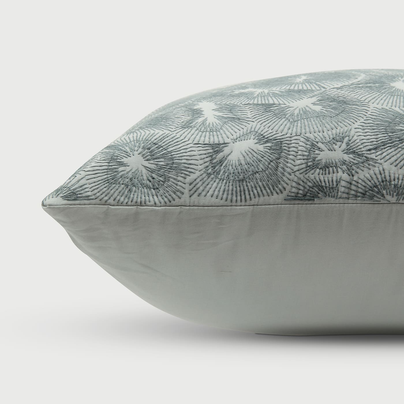 Kiwi Baby Blue Cotton Cushion Cover