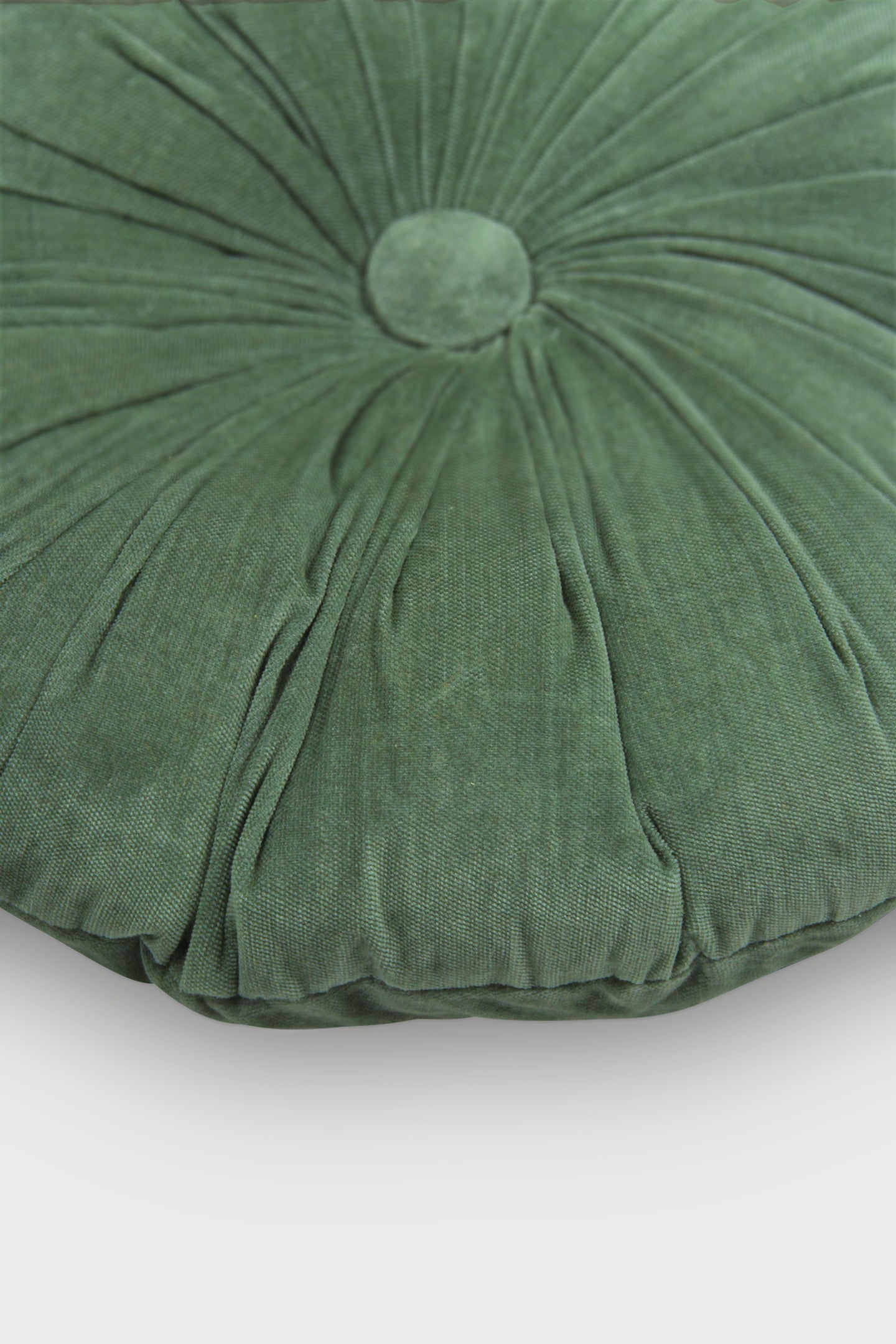 Cuddle Eucalyptus Velvet Round Cushion