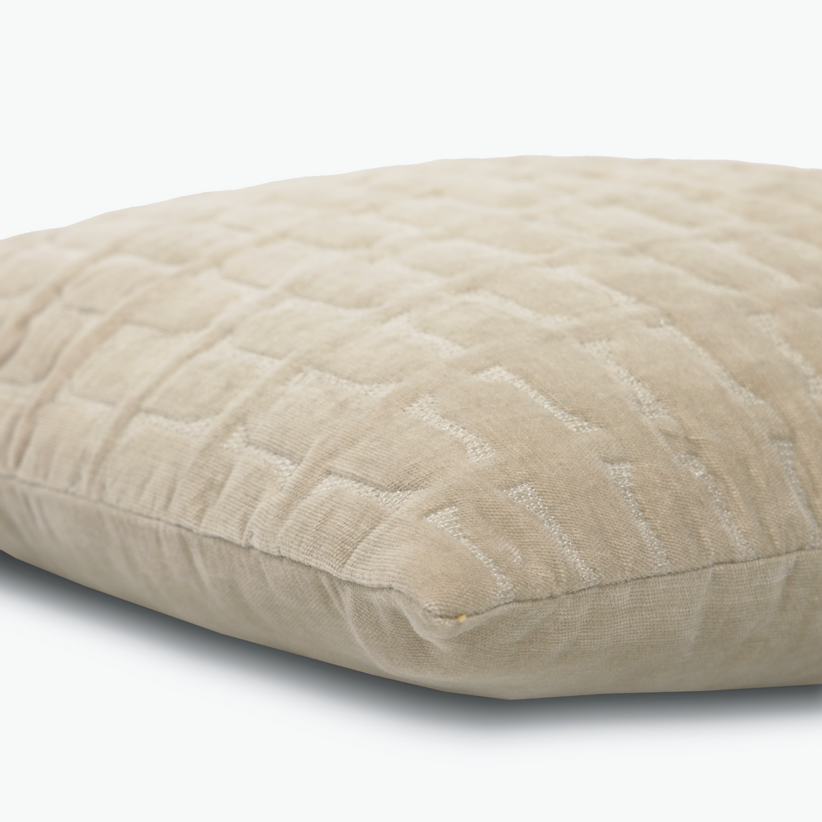 Twig Oatmeal Embroidered Velvet Cushion Cover