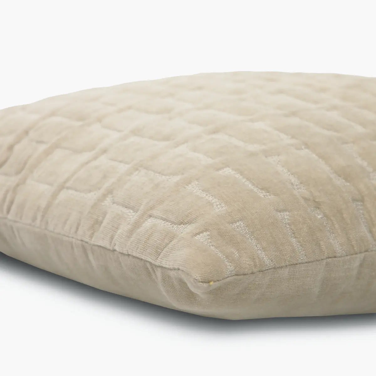 Twig Oatmeal Embroidered Velvet Cushion Cover SanctuaryLiving