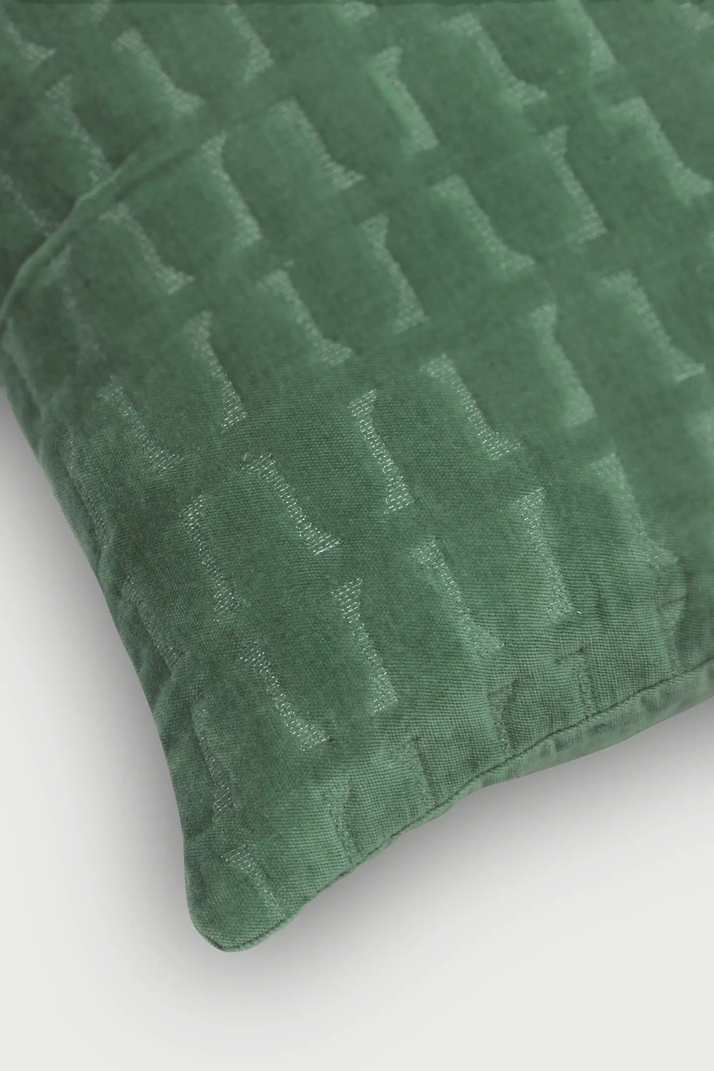 Twig Eucalyptus Embroidered Velvet Cushion Cover