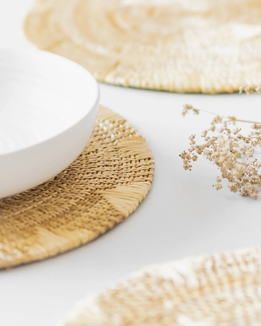 Patterned Grass Placemats-Set of 4 Kolus Home