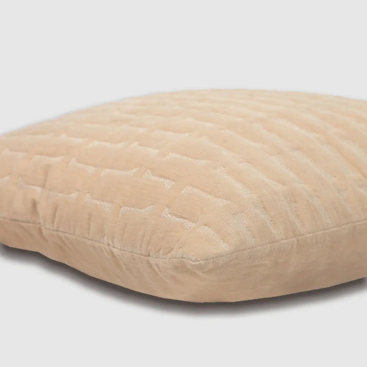 Twig Blush Embroidered Velvet Cushion Cover SanctuaryLiving