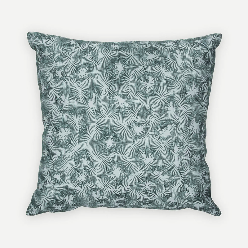 Kiwi Baby Blue Cotton Cushion Cover