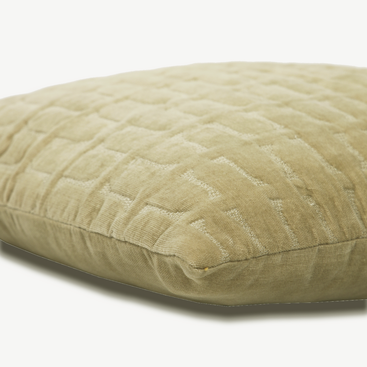 Twig Sand Embroidered Velvet Cushion Cover